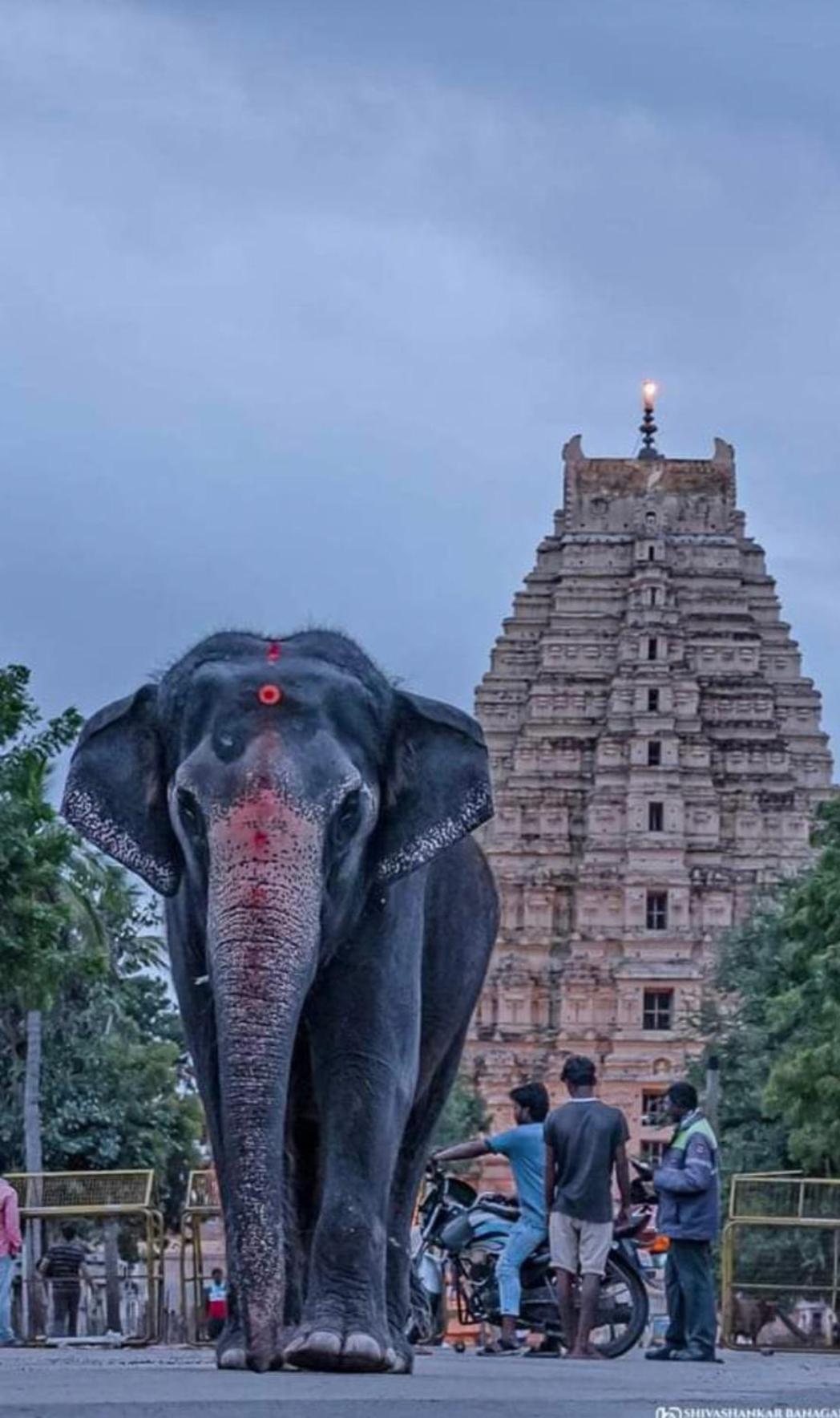 Sai Ram Home Stay Hampi Exterior foto